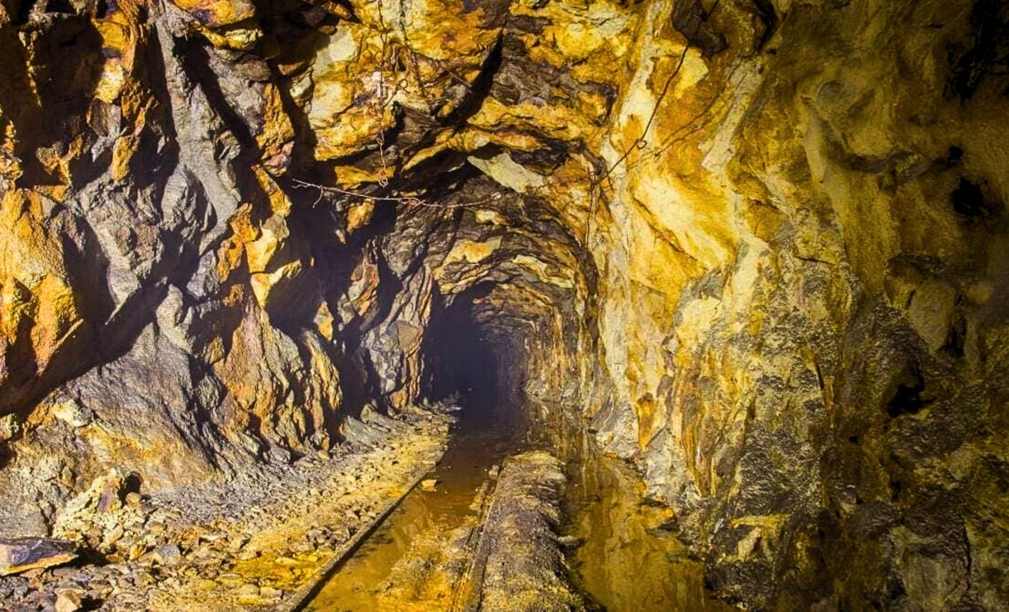 Turner Gold Deposit